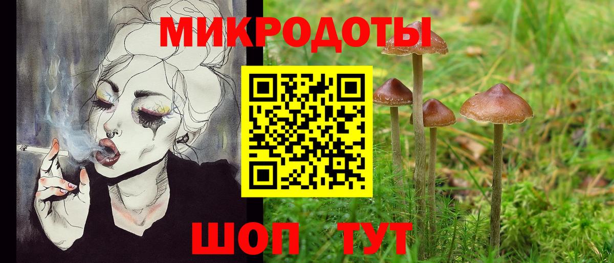 Псилоцибиновые грибы Psilocybe Нягань
